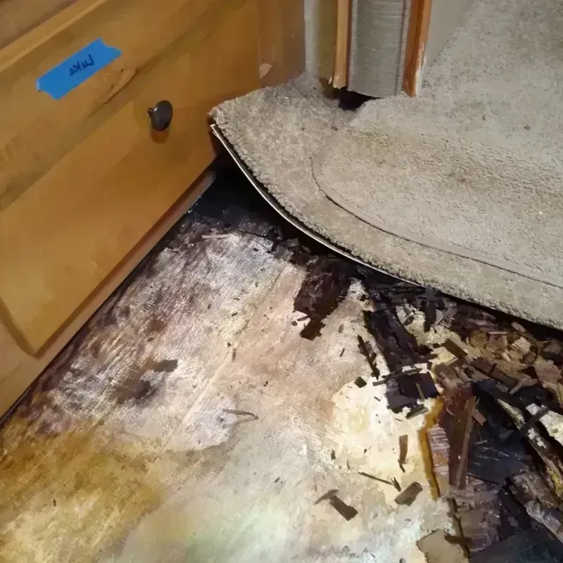 Best Wood Floor Water Damage Service in Point Clear, AL